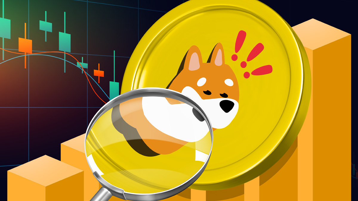 bonk-fundamental-analysis