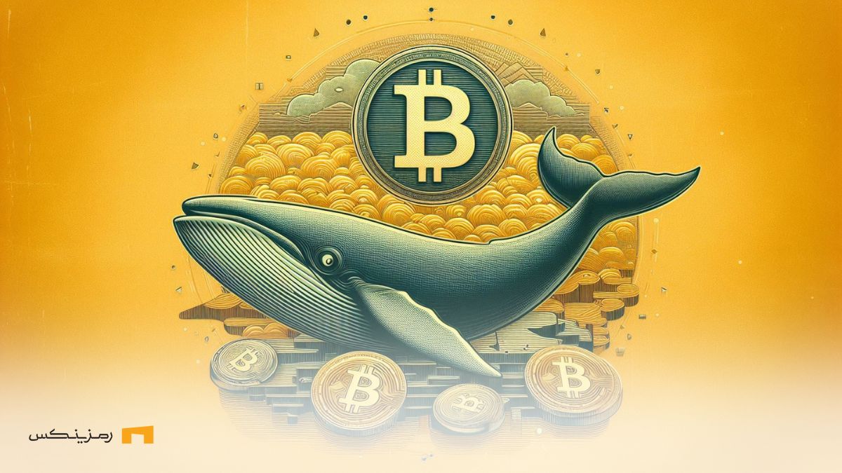 انباشت نهنگهای بیت کوین به بالاترین حد تاریخی خود میرسد انباشت نهنگهای بیت کوین به بالاترین حد تاریخی خود میرسد