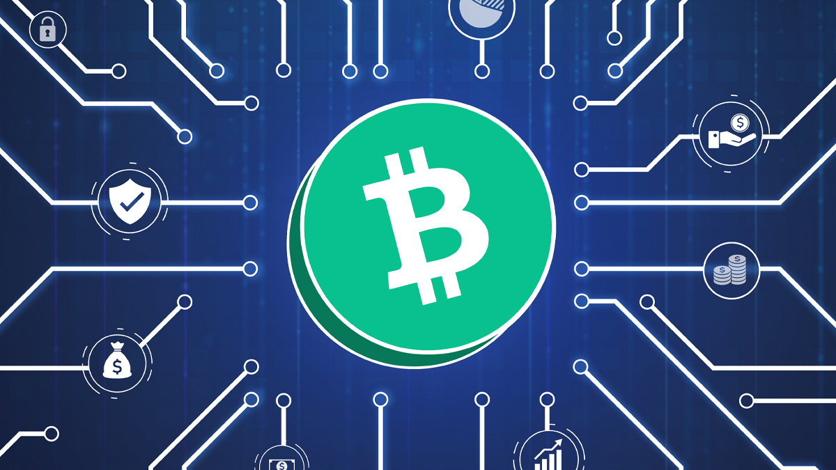 تحلیل آنچین بیت کوین کش لوگو بیت کوین کش