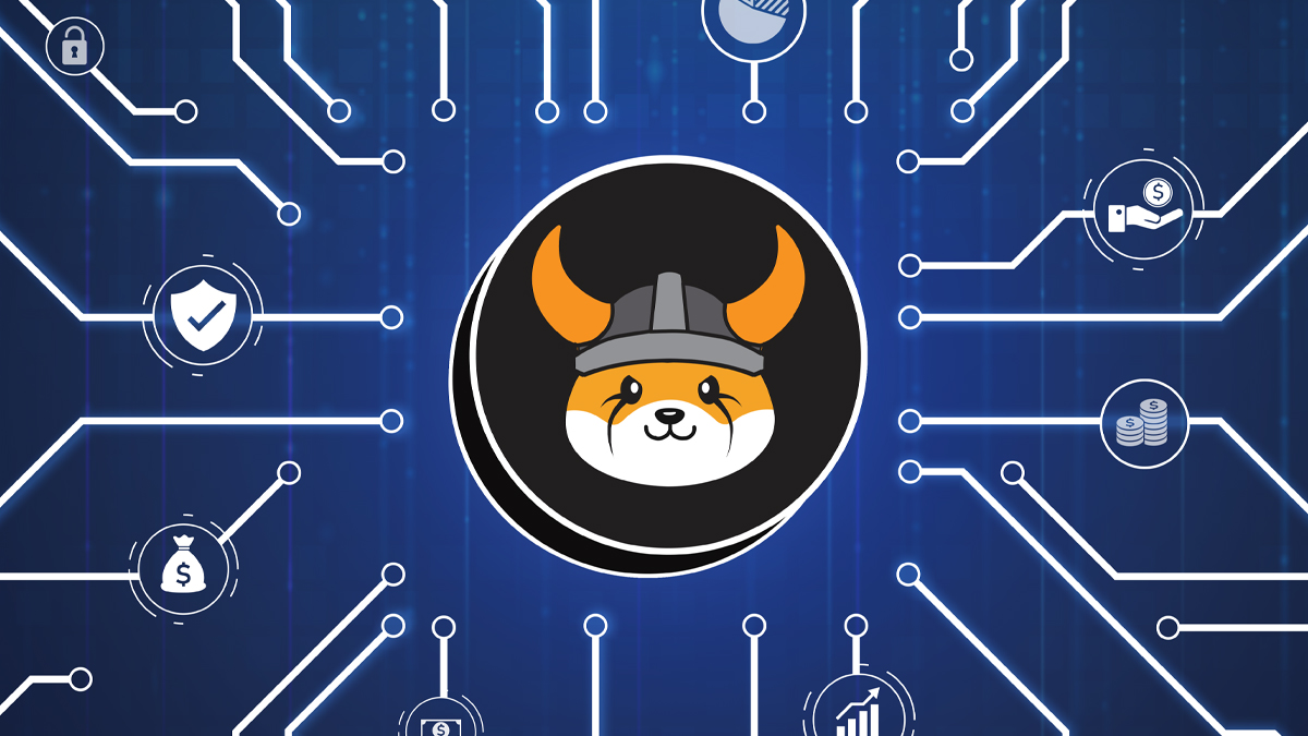 تحلیل آنچین فلوکی لوگو فلوکی اینو و آنچین