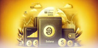 خالی بودن نزدیک به ۱۰۰ میلیون کیف پول فعال سولانا به چه معناست؟ خالی بودن ۱۰۰ میلیون کیف پول سولانا
