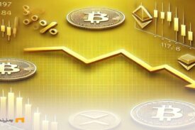 عملکرد ضعیف صرافی های ضرر ده