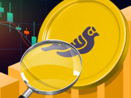 تحلیل فاندامنتال گلد فنچ لوگو گلد فینچ زیر ذره بین