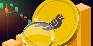 تحلیل فاندامنتال گلد فنچ لوگو گلد فینچ زیر ذره بین