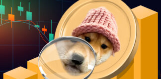 تحلیل فاندامنتال داگ ویف هت لوگو داگ ویف هت زیر ذره بین