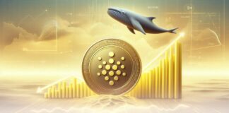 فعالیت نهنگهای کاردانو و هدف صعود بعدی در ۶ دلار فعالیت نهنگهای کاردانو و هدف صعود بعدی در ۶ دلار