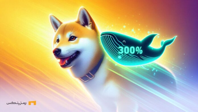Increased-activity-whales-300-increase-price-Shiba فعالیت نهنگها و احتمال رشد ۳۰۰ درصدی قیمت شیبا