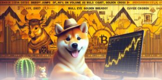 افزایش ۴۰ درصدی حجم معاملات شیبا اینو همراه با نشانههای صعودی شیبا سگ نمودار رشد