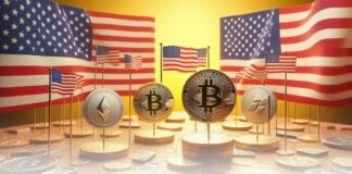 ۵ میم کوینی که باید ماه در نوامبر زیر نظر داشته باشید نوسانات میم کوینها در نوامبر