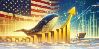 افزایش قیمت دوج کوین در پی فعالیت نهنگها و پیروزی ترامپ فعالیت نهنگها و افزایش قیمت دوج کوین همزمان با پیروزی ترامپ