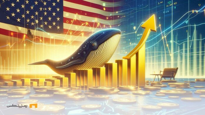 activity-whales-rise-Dogecoin-USA-elections فعالیت نهنگها و افزایش قیمت دوج کوین همزمان با پیروزی ترامپ