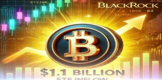 رکوردشکنی ETF بیت کوین بلکراک با ورود ۱.۱ میلیارد دلاری بیت کوین و ای تی اف