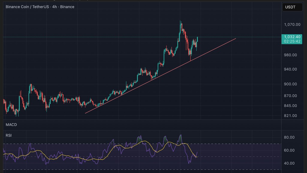 نمودار قیمت ارز BNB