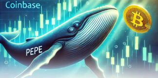 نهنگها یک تریلیون په په را در بزرگترین صرافیها خارج کردند په په نهنگ کوین بیس