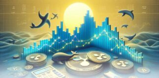 بالاترین میزان انباشت ریپل توسط نهنگها و احتمال جهش ریپل بالاترین میزان انباشت ریپل توسط نهنگها و احتمال جهش ریپل