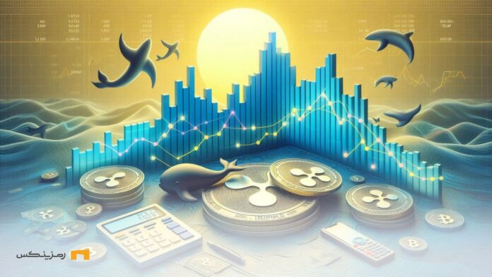 highest-rate-ripple-retention-by-whales بالاترین میزان انباشت ریپل توسط نهنگها و احتمال جهش ریپل