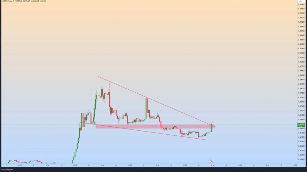 نمودار قیمت همستر