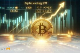 نقش تاثیرگذار ETF ها در رشد قیمت بیت کوین