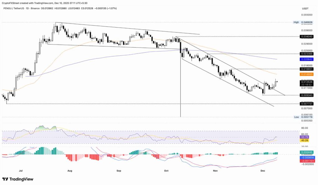 تحلیل تکنیکال ارز پاجی پنگوئن در تاریخ ۱۹ آذر ۱۴۰۴