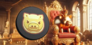 پیگی پیگی (PGC) در رمزینکس لیست شد! ارز دیجیتال پیگی پیگی و یک خوک بر تخت پادشاهی