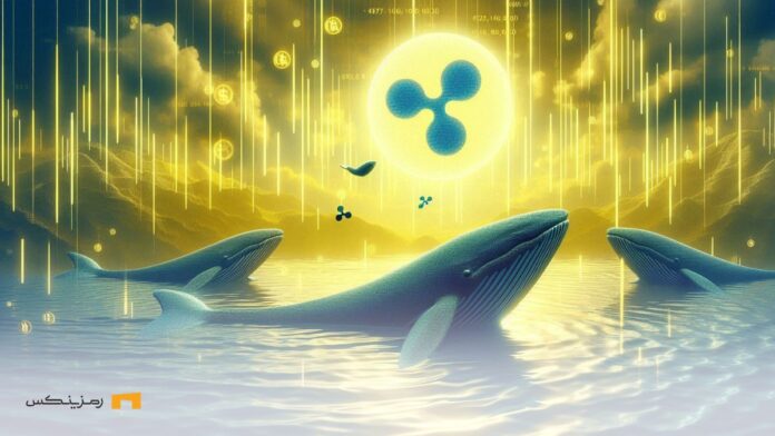 خرید ۵۲۶ میلیون دلار ریپل توسط نهنگ‌ها و جهش به سمت ۷.۵ دلار