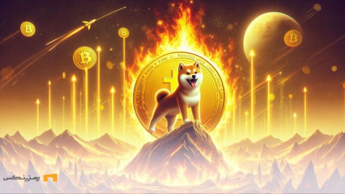 سگ شیبا اینو روی کوه درحال سوختن