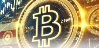 رکوردشکنی ETFهای بیت کوین در آمریکا با بیش از ۵۰۰ میلیارد دلار حجم معاملات بیت کوین و پرچم امریکا