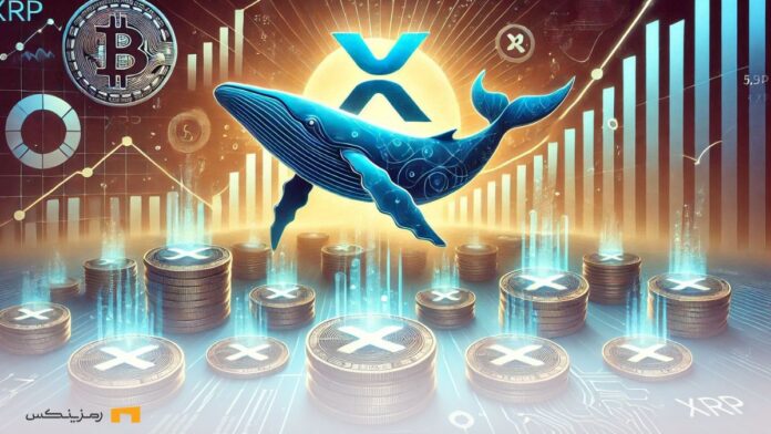 xrp-whales-buying-500m-week نهنگ ریپل بیتکوین