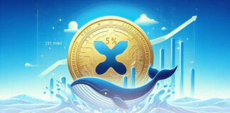 ریپل با رشد ۵۰ درصدی و بیشترین موجودی نهنگها در ۶ سال اخیر نهنگ دریا و ریپل