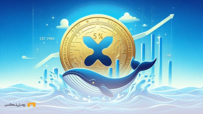 xrp-soars-50-as-whale-holdings-hit-6-year-high نهنگ دریا و ریپل