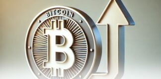 بیت کوین تا یک سال آینده به ۲۵۰ هزار دلار خواهد رسید رشد بیت کوین