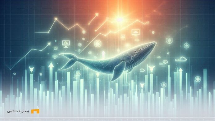 30%-increase-chainlink-same-time-heavy-accumulation-whales افزایش ۳۰ درصدی چین لینک همزمان با انباشت سنگین نهنگها