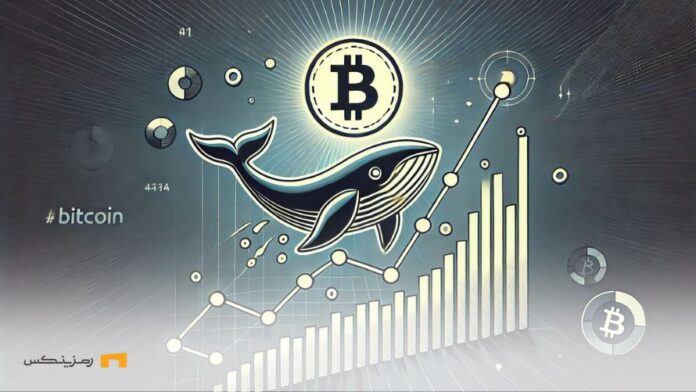 Accumulating-Bitcoin-whales-using-private-transactions انباشت نهنگهای بیت کوین با استفاده از تراکنشهای خصوصی