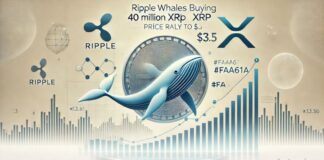 احتمال جهش قیمت ریپل تا ۳.۵ دلار با خرید ۴۰ میلیونی نهنگها