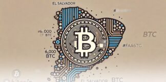 السالوادور با ۶ هزار بیت کوین به جمع غولهای بیت کوینی پیوست السالوادور با ۶ هزار بیت کوین به جمع غولهای بیت کوینی پیوست