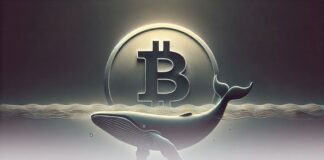 لیکوئید شدن یک نهنگ با ثبت اوج تاریخی جدید بیت کوین لیکوئید شدن یک نهنگ با ثبت اوج تاریخی جدید بیت کوین