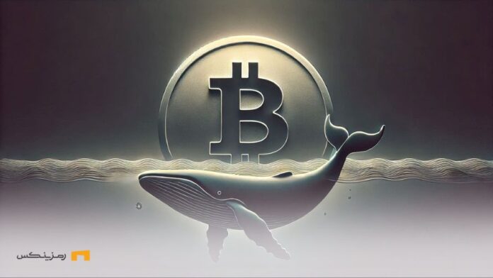 لیکوئید شدن یک نهنگ با ثبت اوج تاریخی جدید بیت کوین