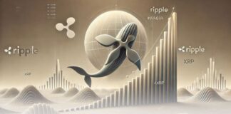 خرید ۸۰ میلیون ریپل توسط نهنگها؛ آیا XRP به ۳ دلار میرسد؟ خرید ۸۰ میلیون ریپل توسط نهنگها؛ آیا XRP به ۳ دلار میرسد؟