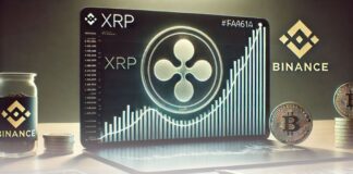 رکورد واریز نهنگهای ریپل به بایننس زده شد رکورد واریز نهنگهای ریپل به بایننس زده شد