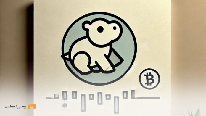 solana-memecoin-moodeng-on-coinbase سقوط مودنگ