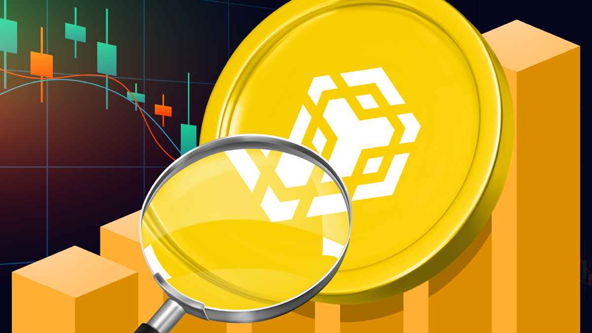 binance-coin-fundamental-analysis