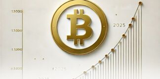 رایان لی: بیت کوین در ژانویه ۲۰۲۵ به ۱۲۰ هزار دلار میرسد پیشبینی رشد بیت کوین