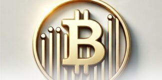 رشد ۳ برابری تراکنشهای خصوصی بیت کوین در سال ۲۰۲۴ رشد ۳ برابری تراکنشهای خصوصی بیتکوین