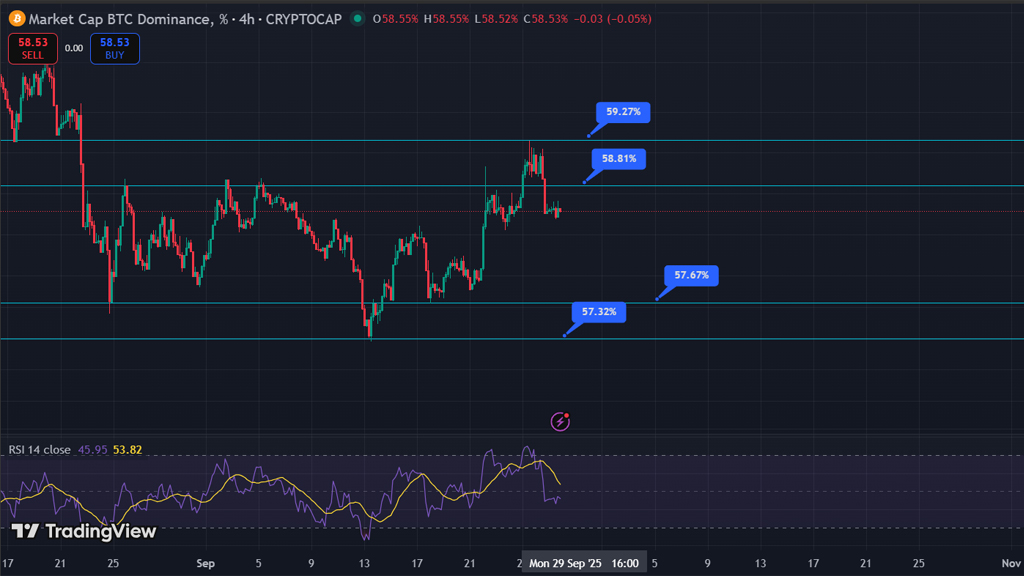 دامیننس بیت‌کوین | سلطه BTC در بازار