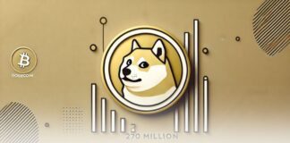 نهنگهای دوج کوین ۲۷۰ میلیون DOGE خریدند؛ پیشبینی رالی بزرگ احتمال رشد دوج کوین