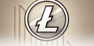 رشد فعالیت در شبکه لایت کوین؛ آیا زمان جهش قیمت نزدیک است؟ رشد احنمالی قیمت لایت کوین