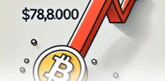 هشدار پیتر براندت: احتمال سقوط بیت کوین به ۷۸ هزار دلار! سقوط بیت کوین