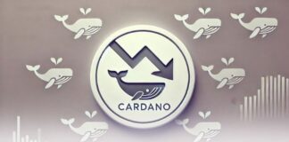 کاهش فعالیت نهنگها؛ آیا کاردانو زیر ۱ دلار متوقف میشود؟ کاهش فعالیت نهنگها؛ آیا کاردانو زیر ۱ دلار متوقف میشود؟