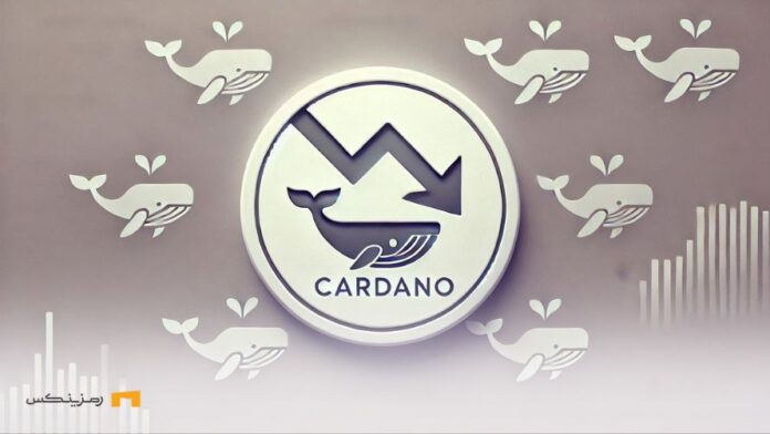 reducing-activity-whales-Will-Cardano-Stop-Below-$1 کاهش فعالیت نهنگها؛ آیا کاردانو زیر ۱ دلار متوقف میشود؟