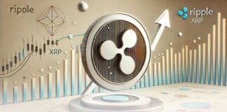 رشد ۱۳ درصدی ریپل؛ حجم معاملات در کوینبیس ۱.۵ برابر بیت کوین ریپل رو به رشد